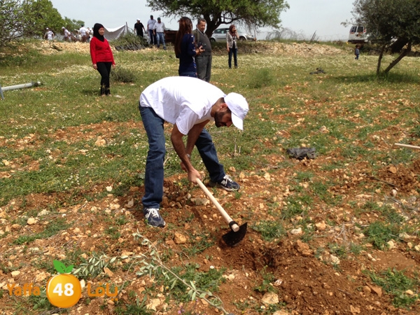 ludandyaffazaitoon (7).JPG